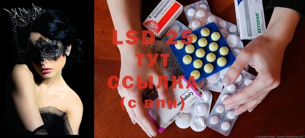 соль ск Белокуриха