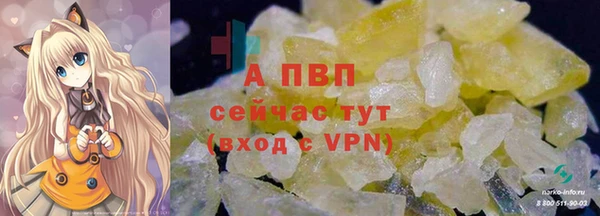 соль ск Белокуриха