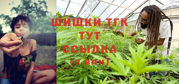 соль ск Белокуриха