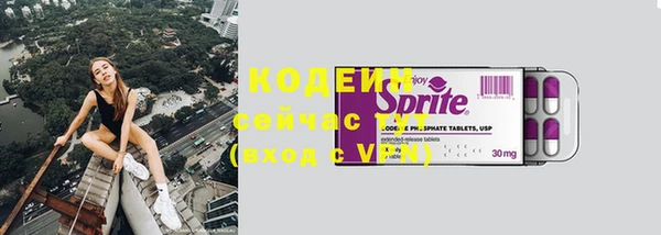 соль ск Белокуриха