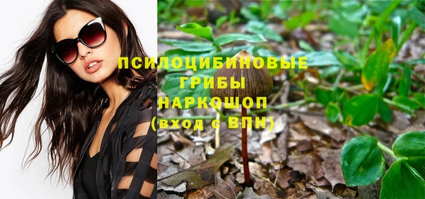 амф Беломорск