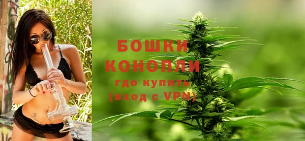 соль ск Белокуриха