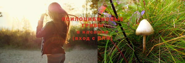 амф Беломорск