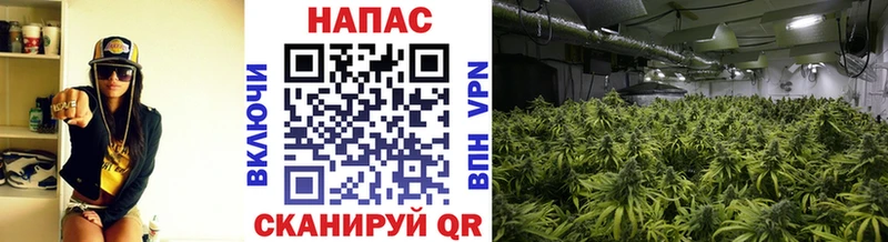 МАРИХУАНА Bruce Banner Острогожск